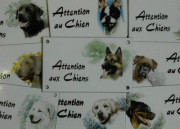 2.1 Attention aux chiens 10x15cm + décor