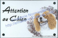 Plaque émaillée (10x15cm) Cavalier king charles