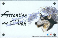 Plaque émaillée (10x15cm) Husky