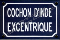 Plaque émaillée (10x15cm) cochon d'inde excentrique