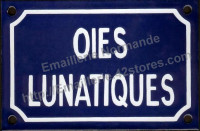 Plaque émaillée (10x15cm) oies lunatiques