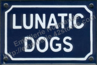 Plaque émaillée (10x15cm) Lunatic dogs