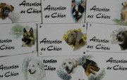 2. Attention au chien + décor 10x15cm